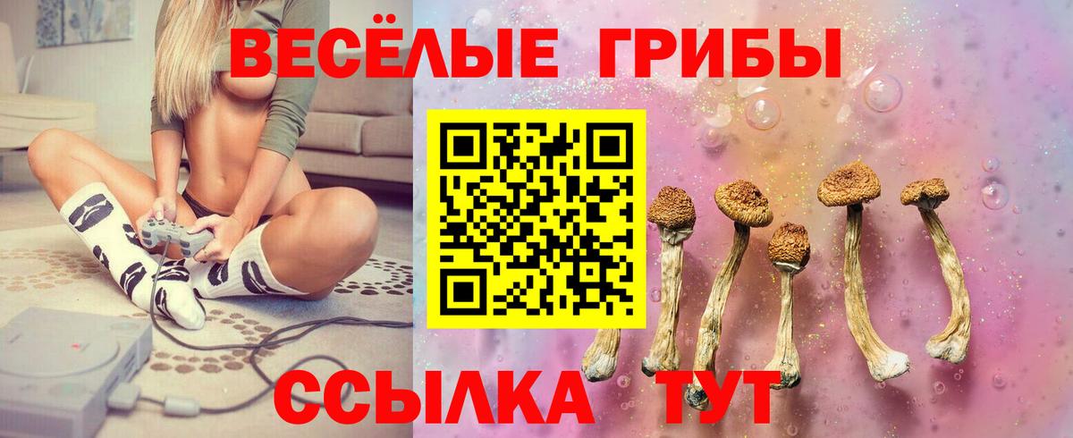 купить  сайты  Вход с VPN  Краснокамск  Галлюциногенные грибы мицелий 